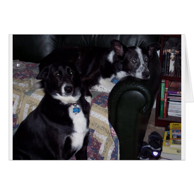 100_1642 (Voorkant Horizontaal)