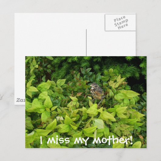 100_1805, ik mis mijn moeder! briefkaart (Voorkant / Achterkant)