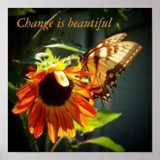 100_1974, Verandering is mooi Poster