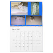 100_2382, St Francis Malamutes Kalender (Mar 2027)