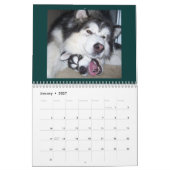 100_2382, St Francis Malamutes Kalender (Jan 2027)