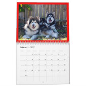 100_2382, St Francis Malamutes Kalender (Feb 2027)