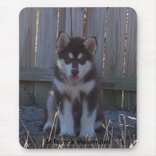 100_2932, St Francis Malamutes Muismat (Voorkant)