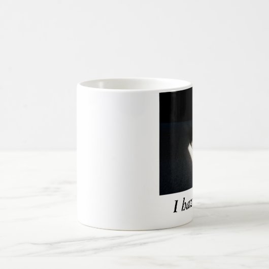 100_3001, ik heb een zonnestraal koffiemok (Center)