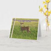 100_3149, Als de herten broek voor stromen van wat Kaart (Gele Bloem)