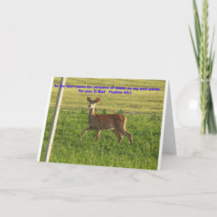 100_3149, Als de herten broek voor stromen van wat Kaart