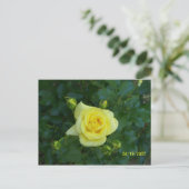 100_3464 BRIEFKAART (Staand voorkant)