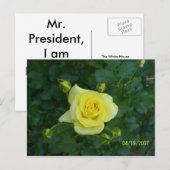 100_3464 BRIEFKAART (Voorkant / Achterkant)