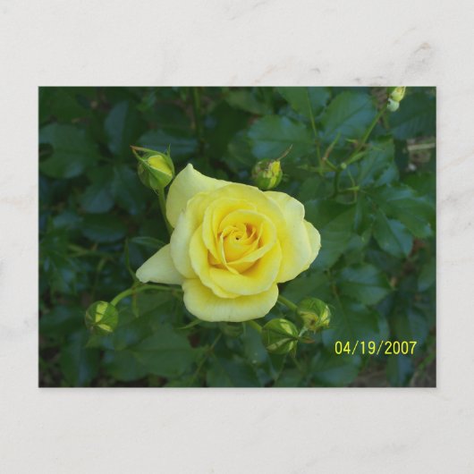 100_3464 BRIEFKAART (Voorkant)