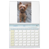 100_5963, ik hou van Yorkies! Kalender (Jan 2027)