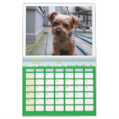 100_5963, ik hou van Yorkies! Kalender (Mar 2027)