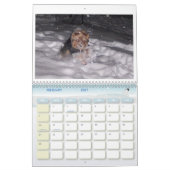 100_5963, ik hou van Yorkies! Kalender (Feb 2027)
