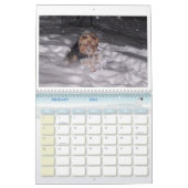 100_5963, ik hou van Yorkies! Kalender (Feb 2026)