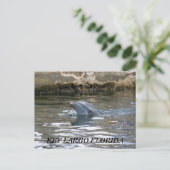 100_8578, BELANGRIJKSTE LARGO FLORIDA BRIEFKAART (Staand voorkant)