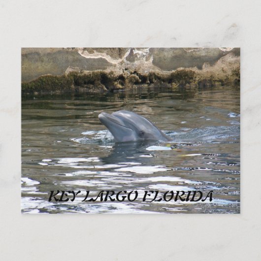 100_8578, BELANGRIJKSTE LARGO FLORIDA BRIEFKAART (Voorkant)