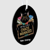 100 dagen school Hoe deze grappige leraar het over Ornament (voorkant)
