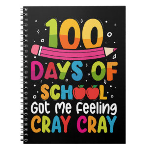 100 dagen school maken me helemaal gek notitieboek