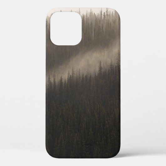 100 FOTO'S MET EEN KLEINE FOG IN EEN VORM Case-Mate iPhone CASE (Achterkant)
