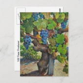 100 jaar Briefkaart producent (Voorkant / Achterkant)