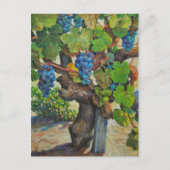 100 jaar Briefkaart producent (Voorkant)