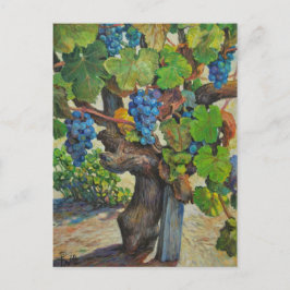 100 jaar Briefkaart producent