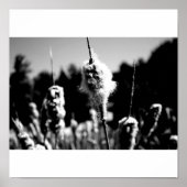 100% katoen poster (Voorkant)