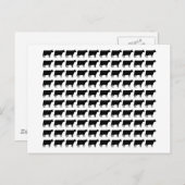 100 Koeien Briefkaart (Voorkant / Achterkant)