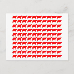 100 koeien - Rood Briefkaart
