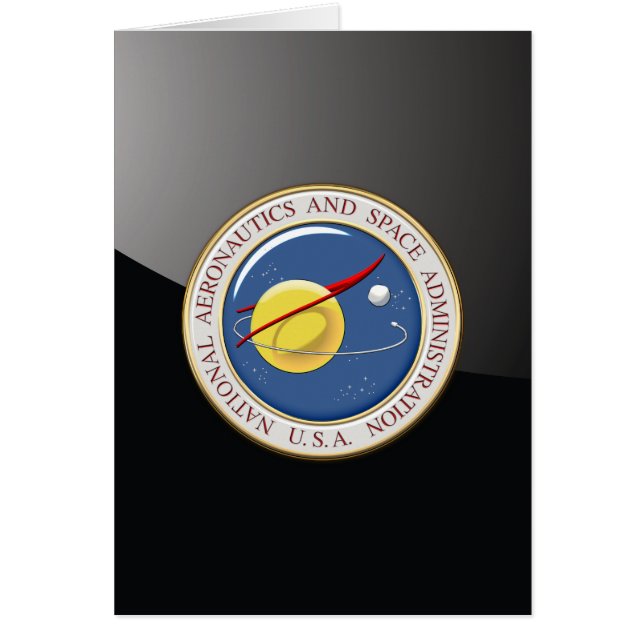 [100] NASA-embleem [3D] (Voorkant)