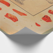 100% rundvlees cadeaupapier (Hoek)