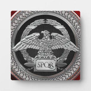[100] Silver Roman imperial Eagle over de medaille Fotoplaat