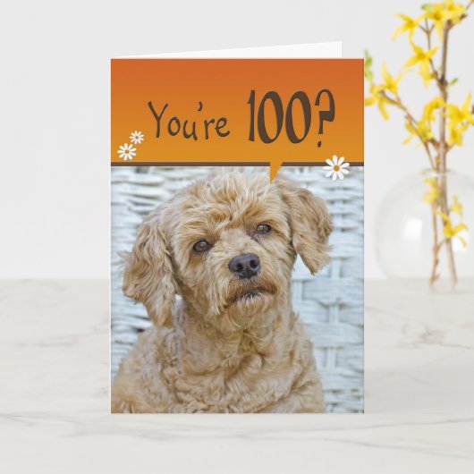 100e verjaardag kaart (Gele Bloem)