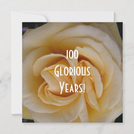 100th Birthday Celebration-Yellow Rose Kaart (Voorkant)