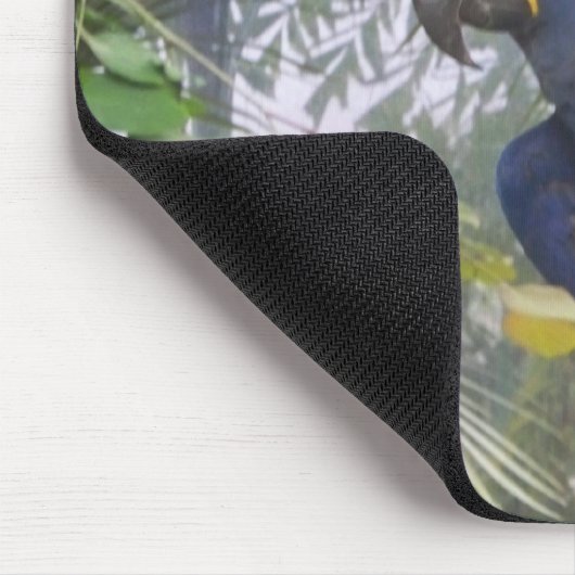 101_0361 MUISMAT (Hoek)