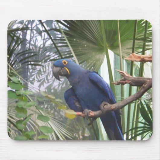 101_0361 MUISMAT (Voorkant)