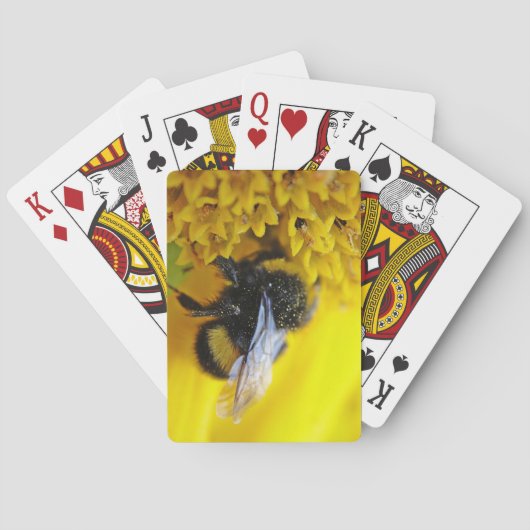 101.JPG SPEELKAARTEN (Achterkant)