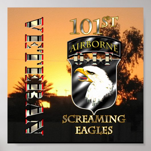 101e luchtverkeersdivisie OIF Veteran Poster (Voorkant)