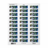 101ste ABN-oorlog tegen luchtaanvallen, waarbij de Etiket (Full Sheet)