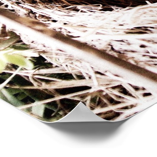 104:24 POSTER (Hoek)