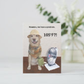 105 F?! BRIEFKAART (Staand voorkant)