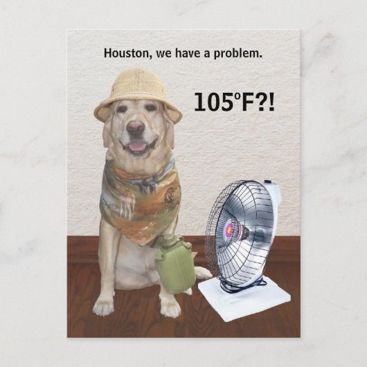105 F?! BRIEFKAART (Voorkant)