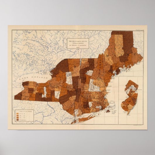 109 Typhoïde koorts NY, NJ, New England Poster (Voorkant)