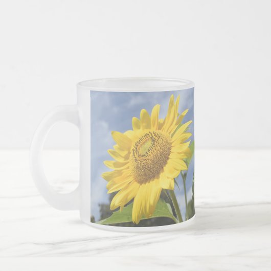 10.000 Zonnen Matglas Koffiemok (Links)