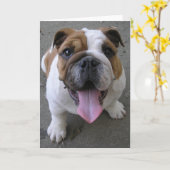 10-04-05 003 KAART (Gele Bloem)