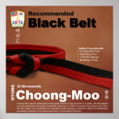 10-11 Aanbevolen zwart gordel Do-jang Poster (Voorkant)