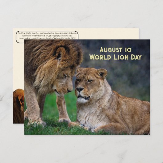 10 aug. Wereldleeuwendag Feestdagenkaart (Voorkant / Achterkant)