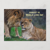10 aug. Wereldleeuwendag Feestdagenkaart (Voorkant)