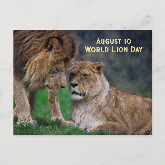 10 aug. Wereldleeuwendag Feestdagenkaart (Voorkant)