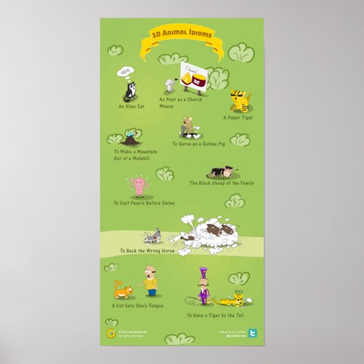 10 Dierentomen en hun betekenis Poster (Voorkant)