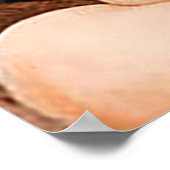 10 dingen die ik haat over jou poster (Hoek)